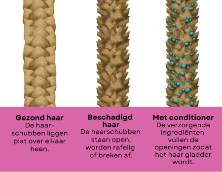 Gezond en beschadigd haar en haar behandeld met conditioner